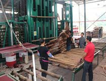 Bamboo plywood for vehicle cleaning subplate--- new innovation for ZNSJ 