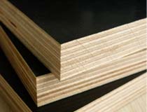 Film faced plywood -----ZNSJ joined into foreign project with foreign trade company