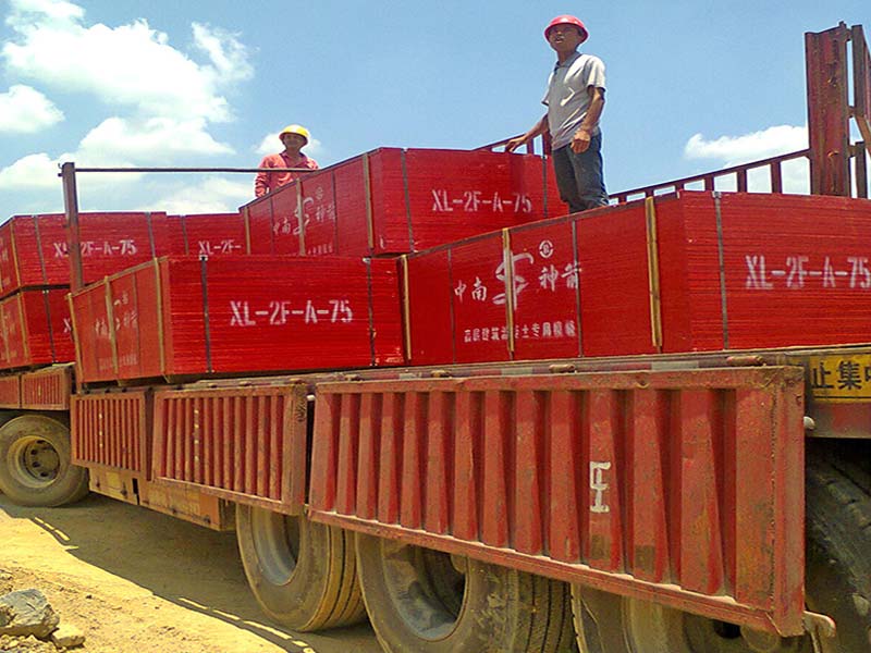 Bamboo Plywood for construction