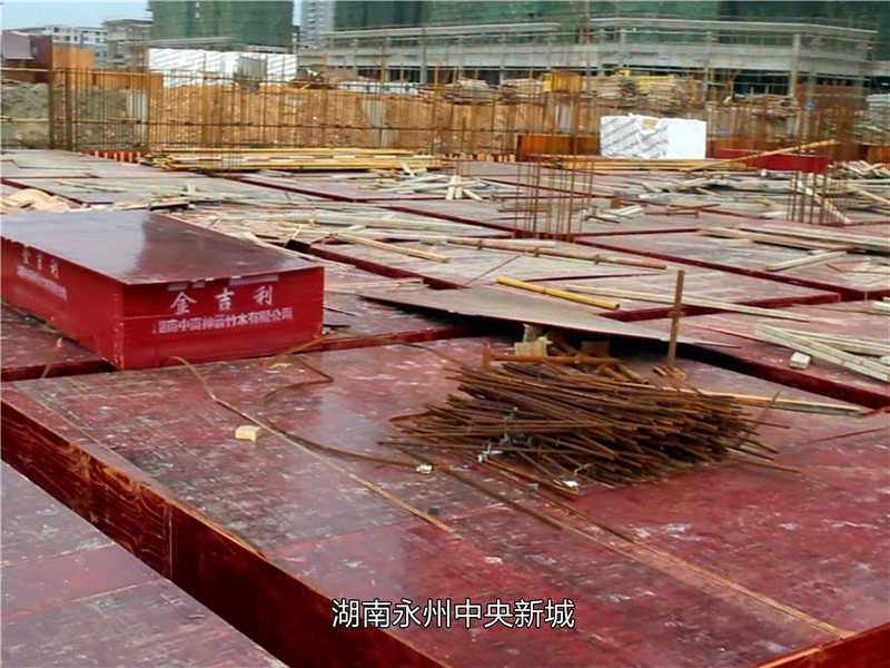 bamboo shuttering formwork for concrete construction