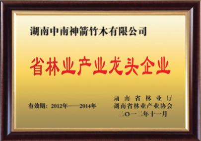 Leading Enterprise of Hunan Forestry Industry